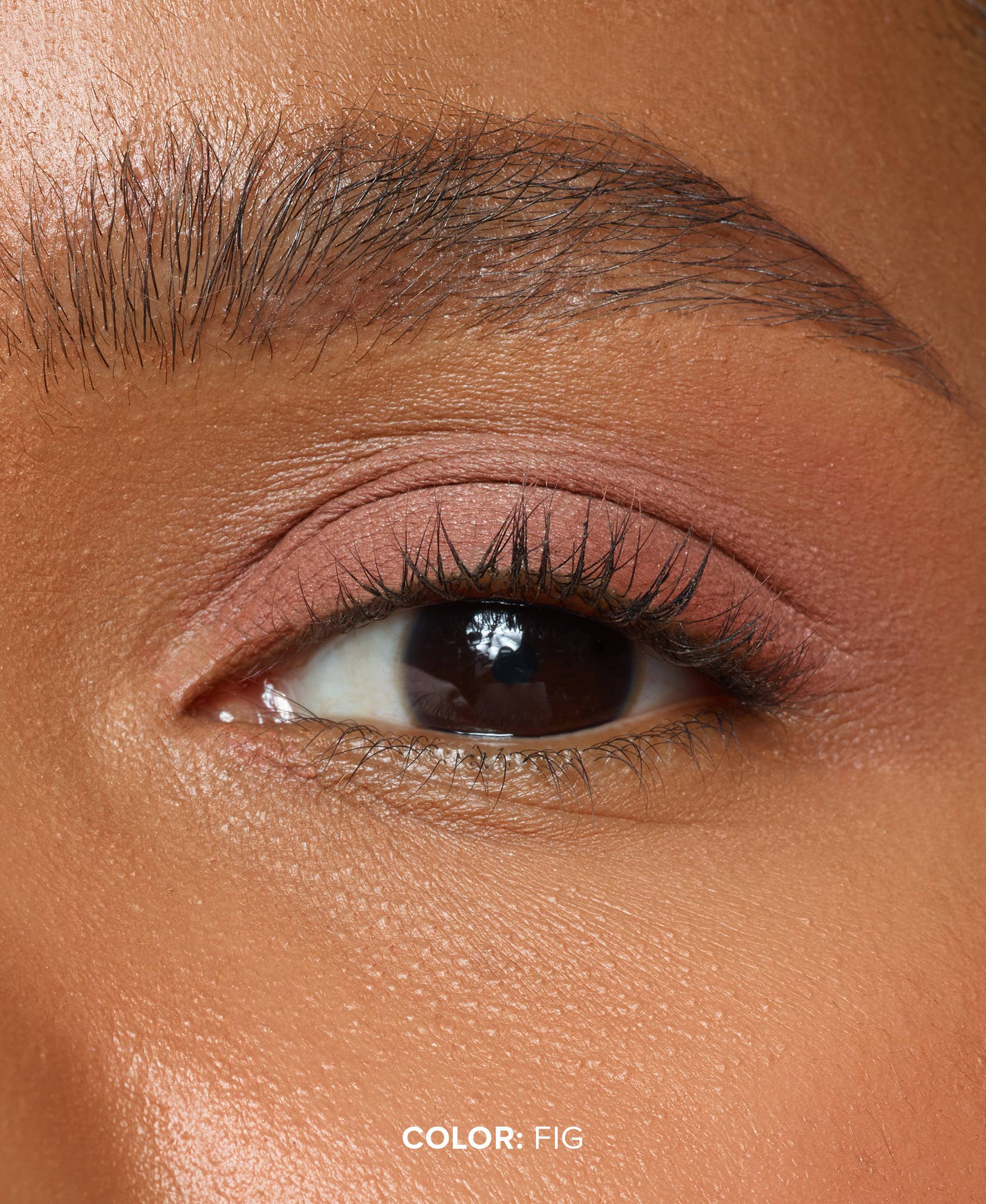 NUDESTIX Magnetic Matte Oogschaduw – Fig